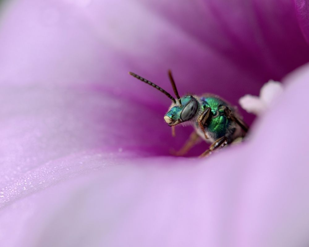 Photograph by Manuel Soto