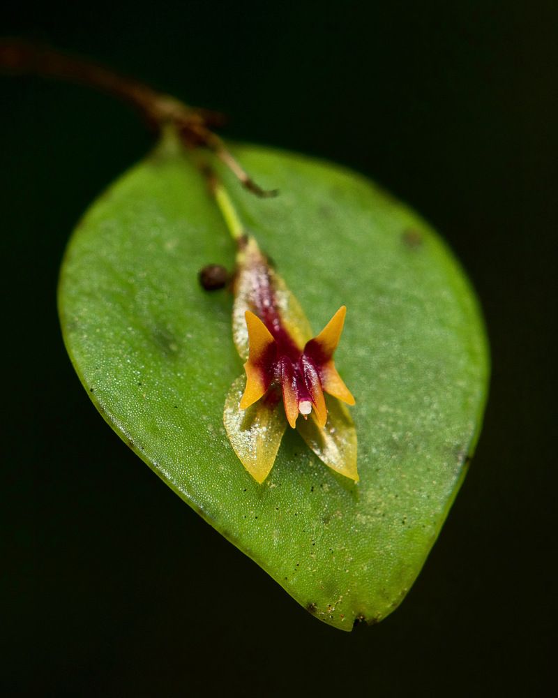 Photograph by Manuel Soto