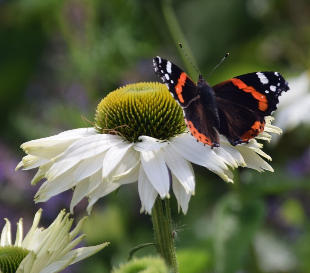 Photograph by Maiya Bulatova