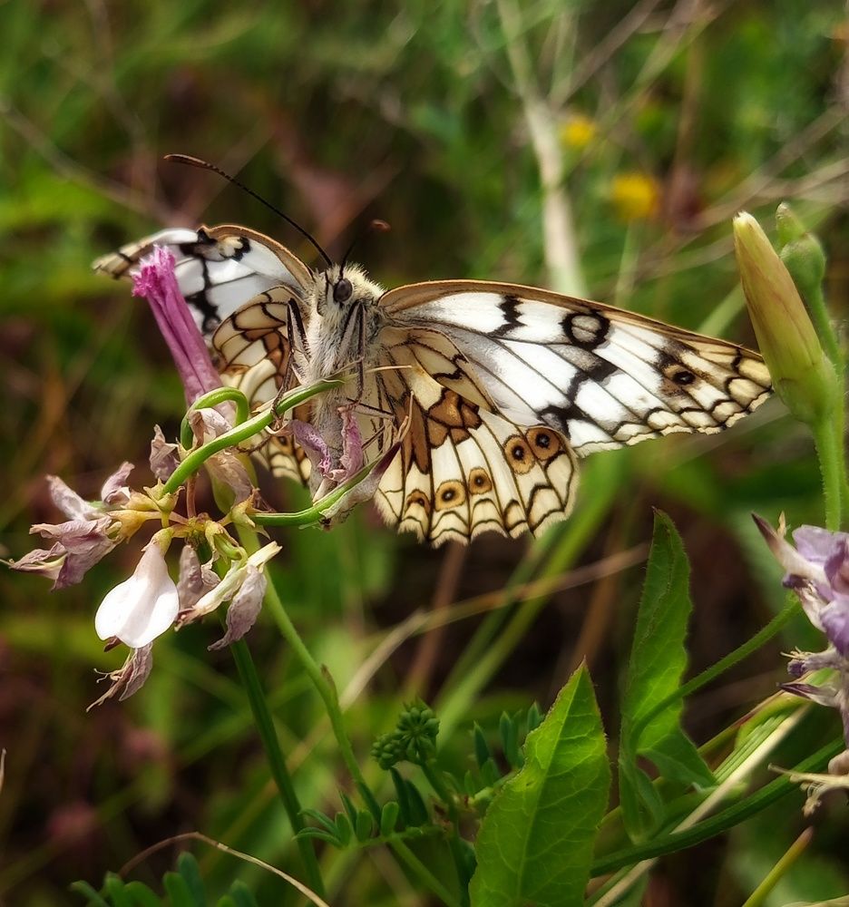 Photograph by Maiya Bulatova