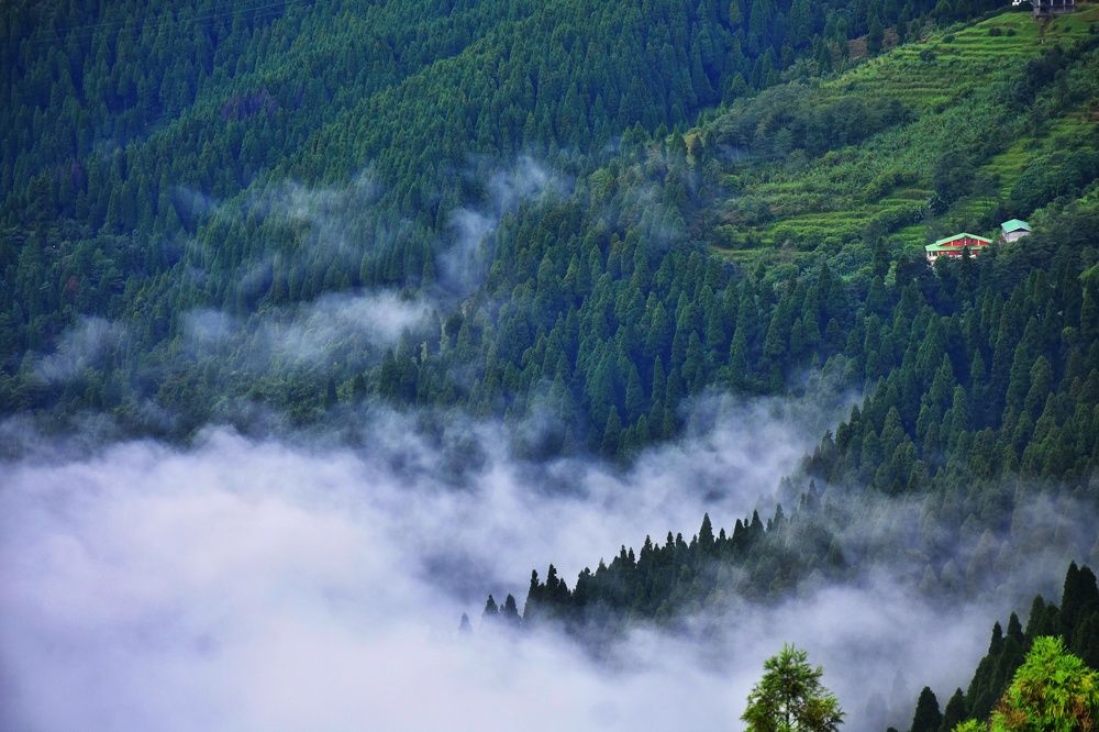 Photograph by Joy Karmakar