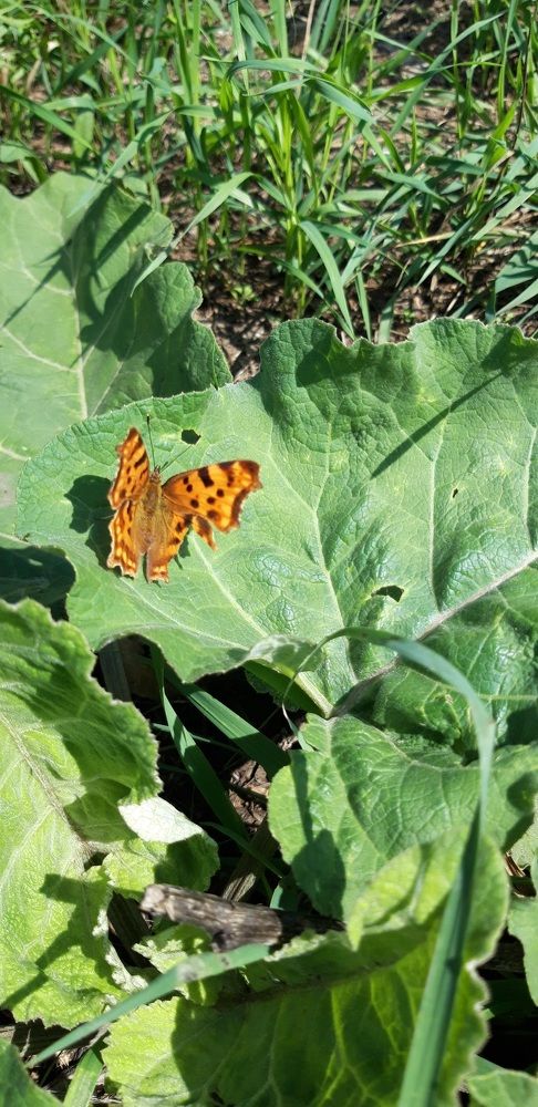 Photograph by Ирина Ахметова