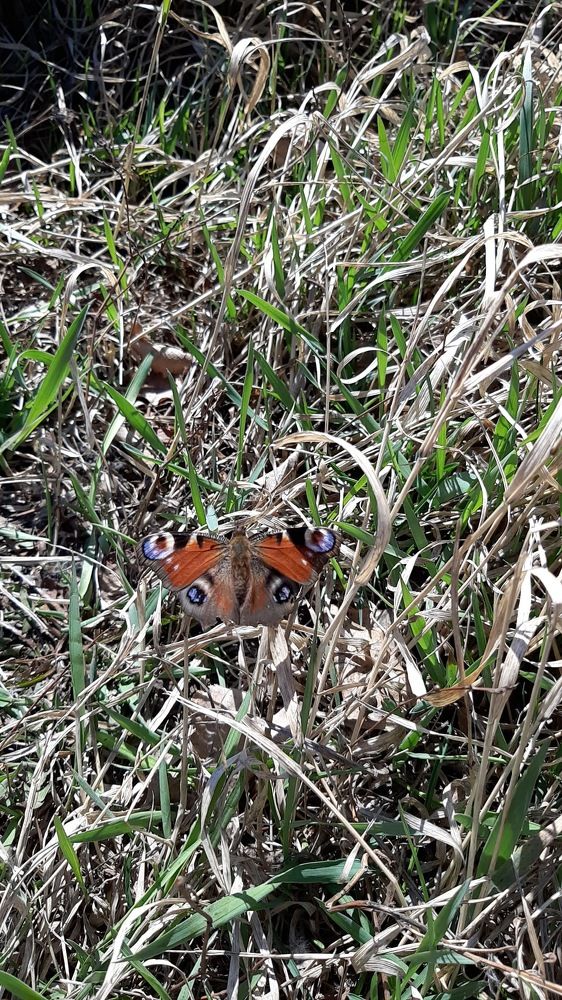 Photograph by Ирина Ахметова