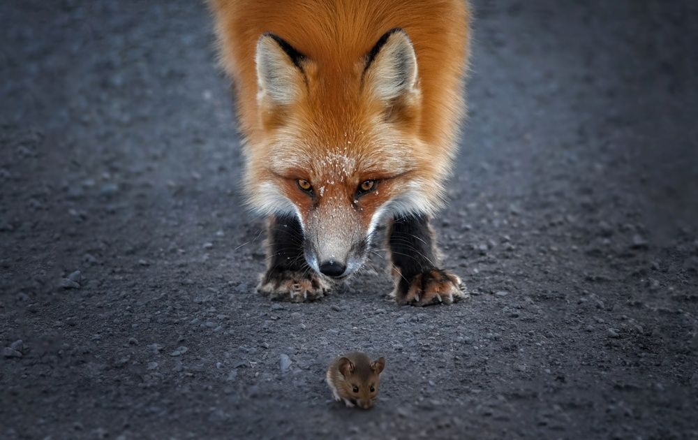 Photograph by Вероника Романенко