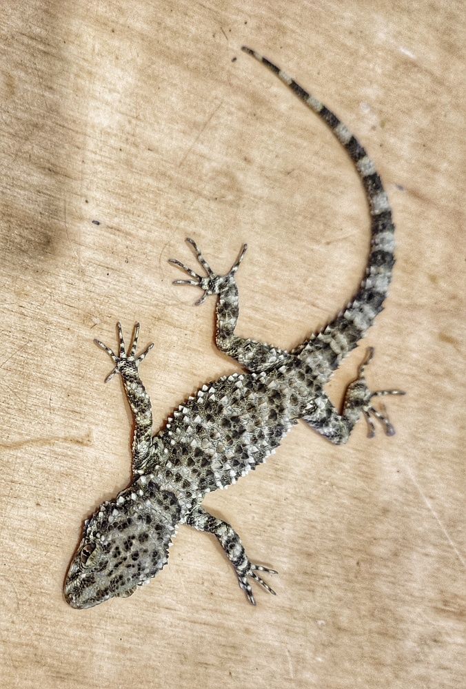 Photograph by Владимир Осипов