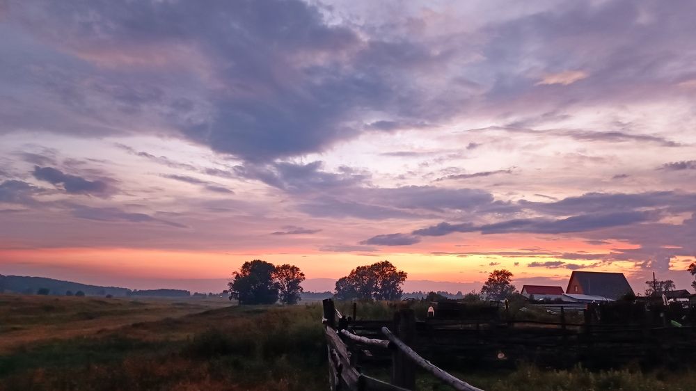 Сиреневый рай