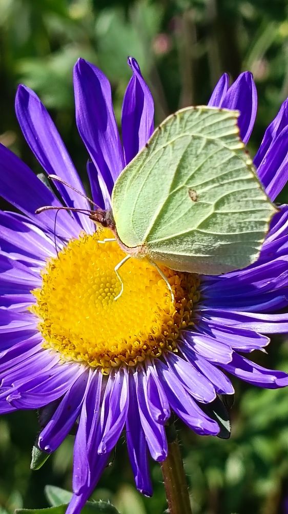 Photograph by Ирина Луговых