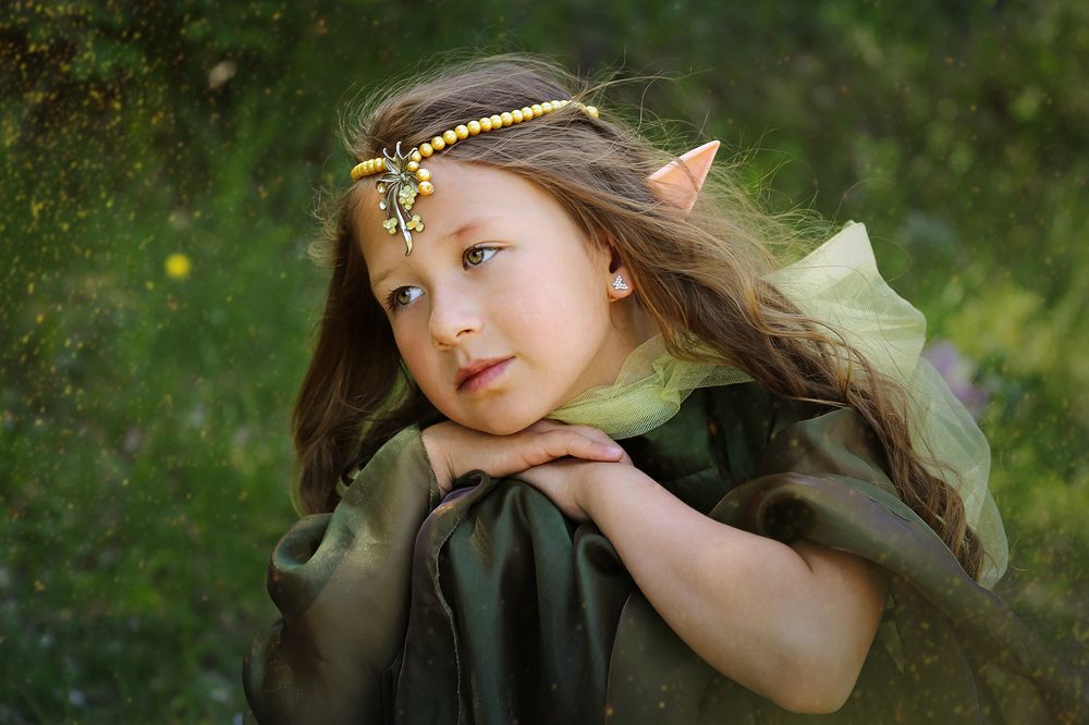 Эльфийские истории