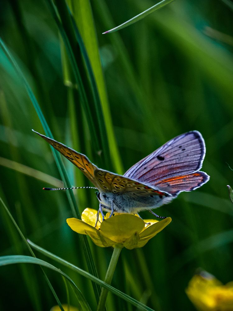 Photograph by Владимир Коновалов