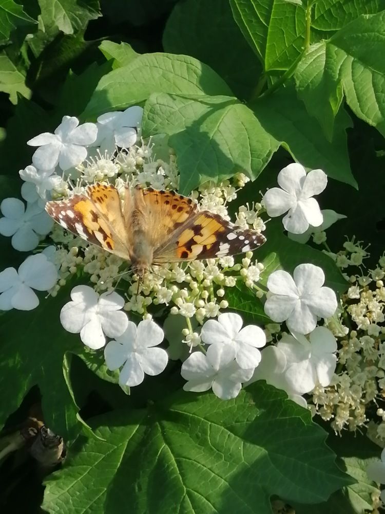 Photograph by Мила Мит