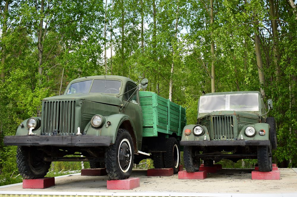 Фотография автора Оксана Льдинина