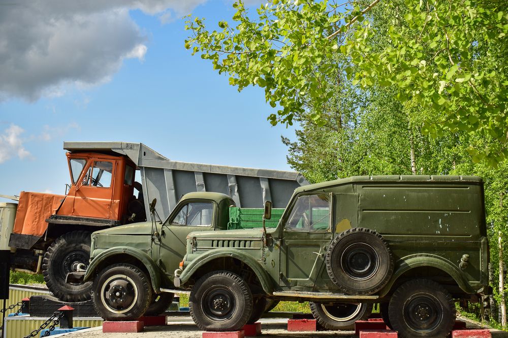 Фотография автора Оксана Льдинина