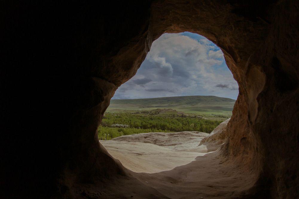 Photograph by Полина Бархатова