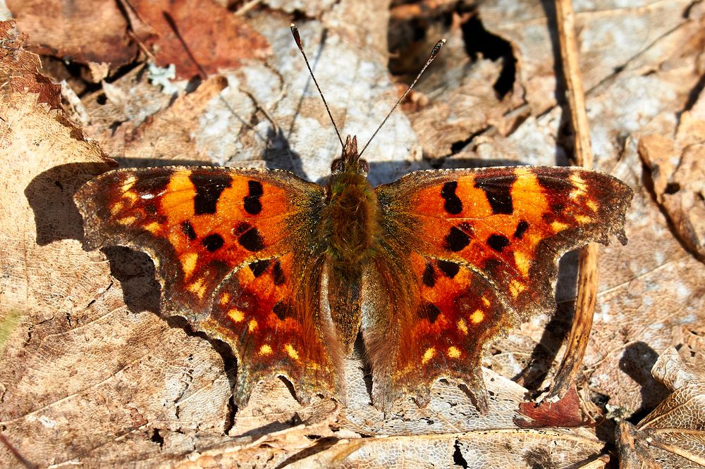 Photograph by Андрей Востриков