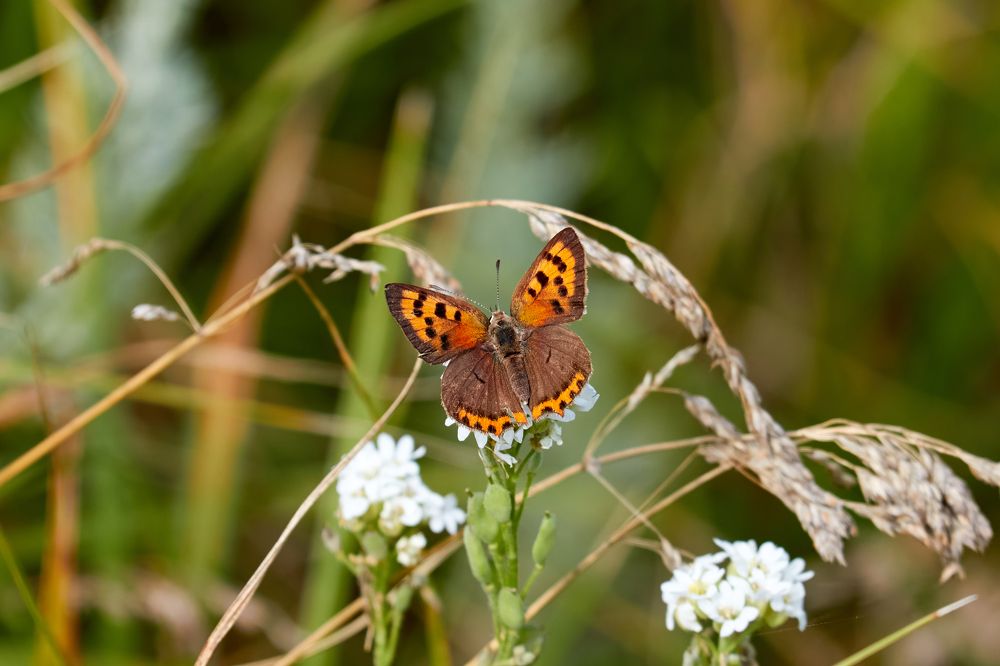 Photograph by Андрей Востриков