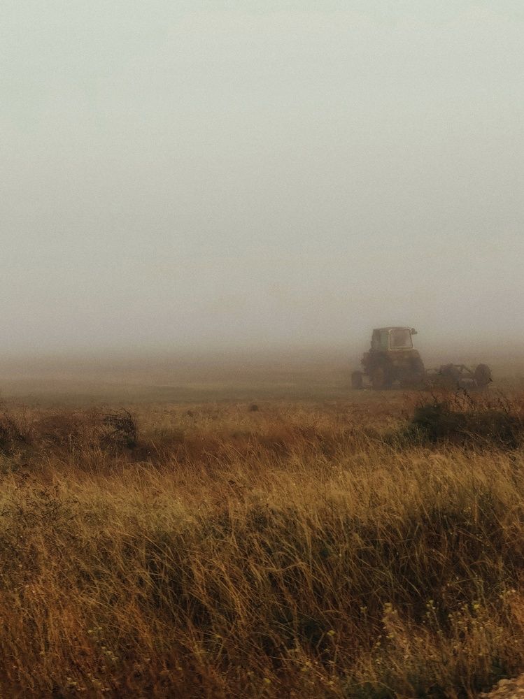 Photograph by Мария Цепилова