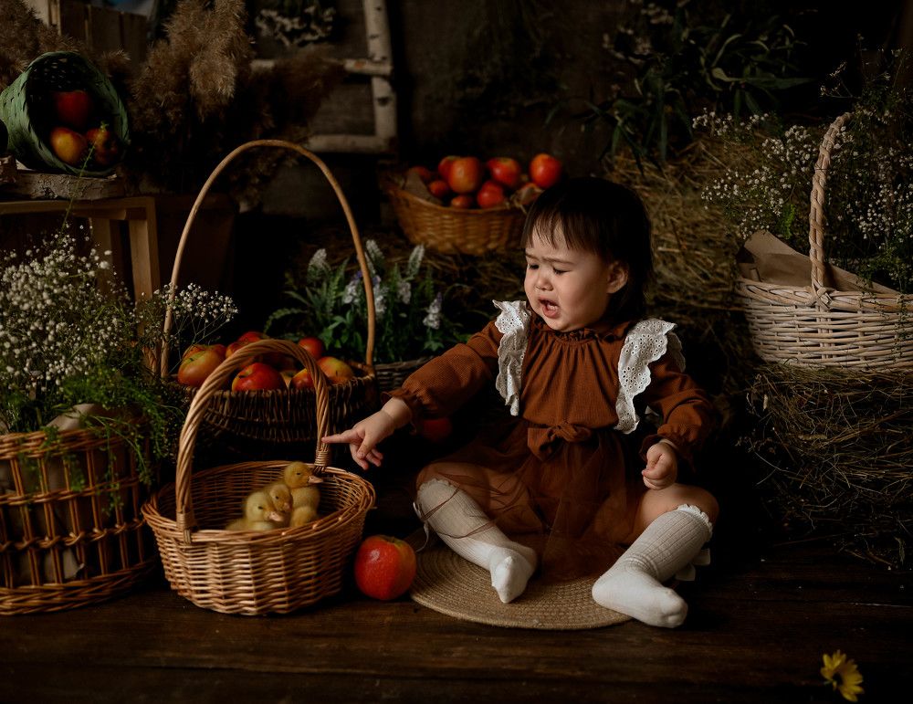 Кто съел мой королевский торт?!