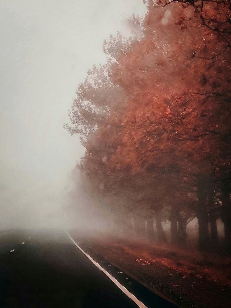 Photograph by Мария Цепилова