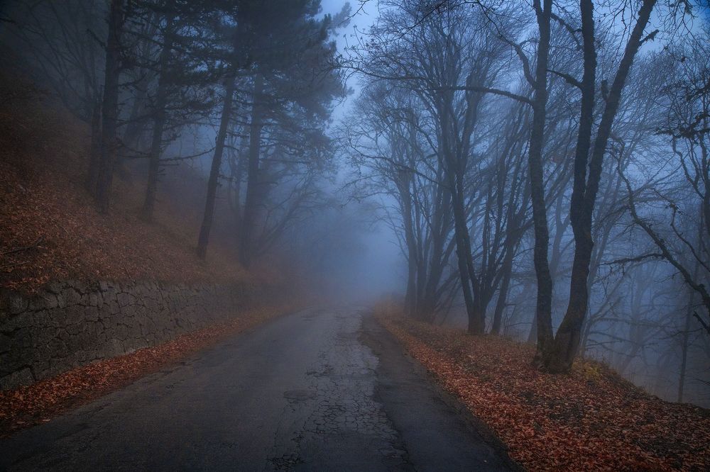Photograph by 