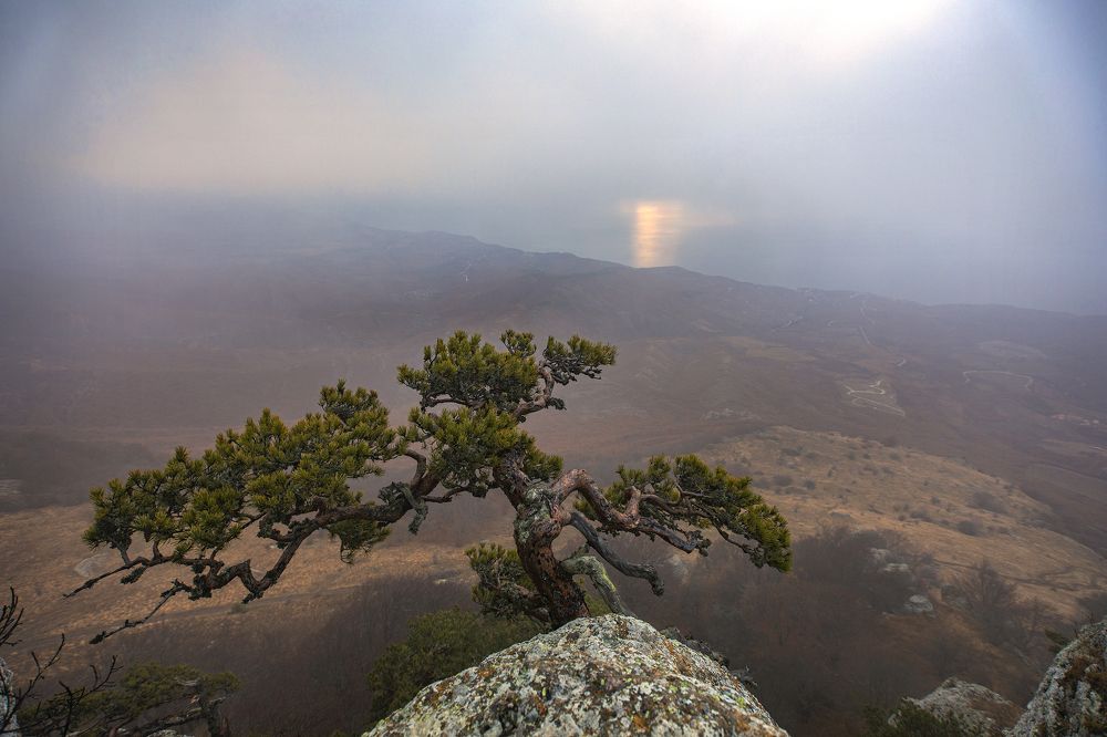 Photograph by Дмитрий Юдин