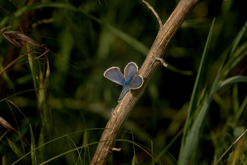 Photograph by Виталий Абдразаков