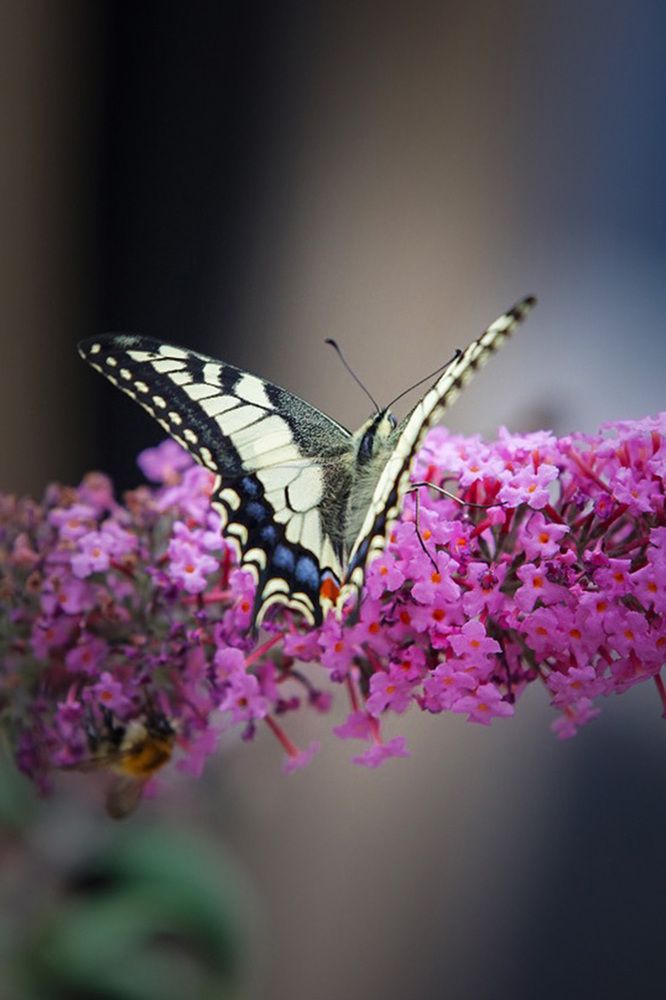 Photograph by Ирина Подгорная