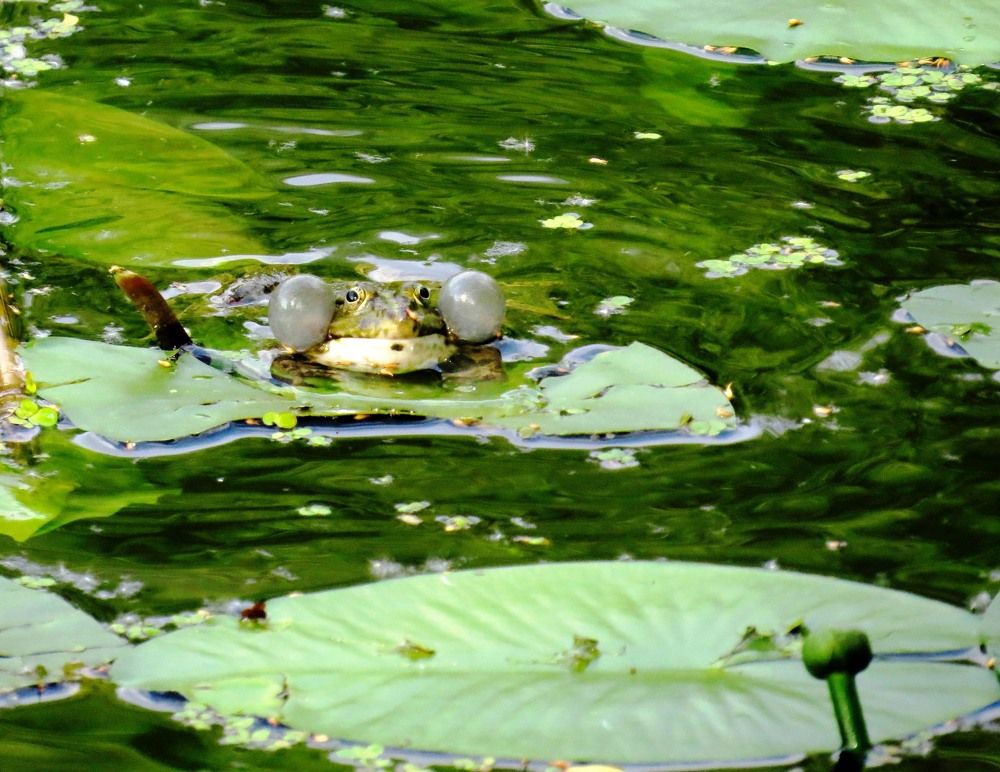 Photograph by Елена Казарина