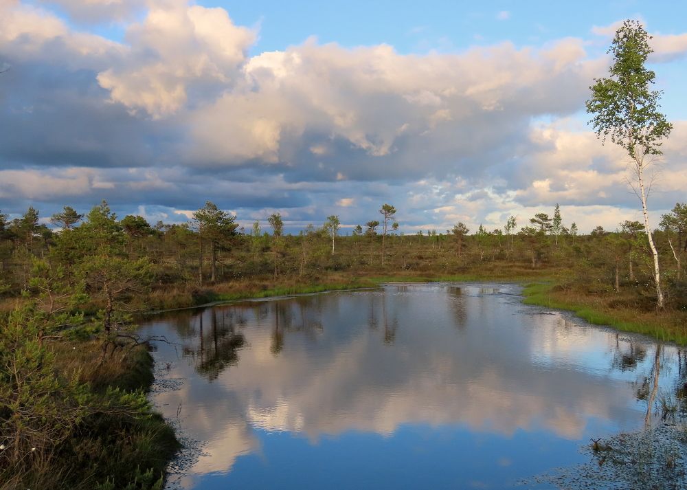 Photograph by Pjotr Alekseev