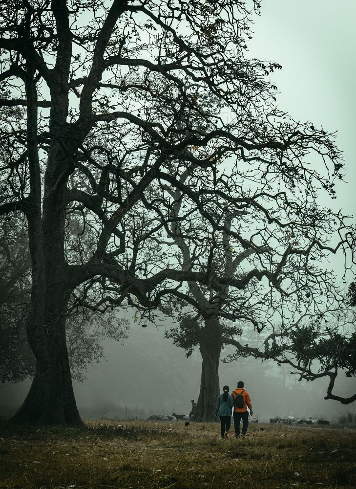 Photograph by SHRINJOY MAITI