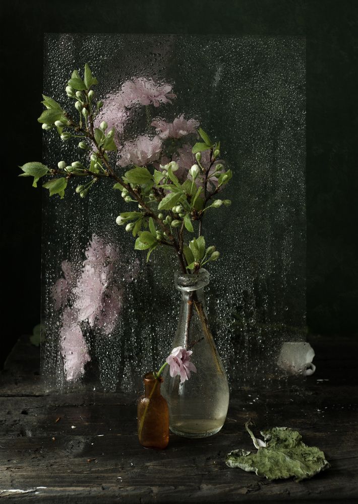 Фотография автора Julia Vikhrova