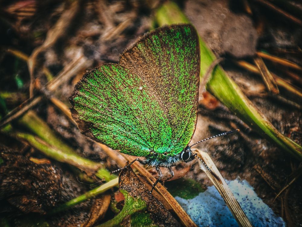 Photograph by Konstantin Martynov