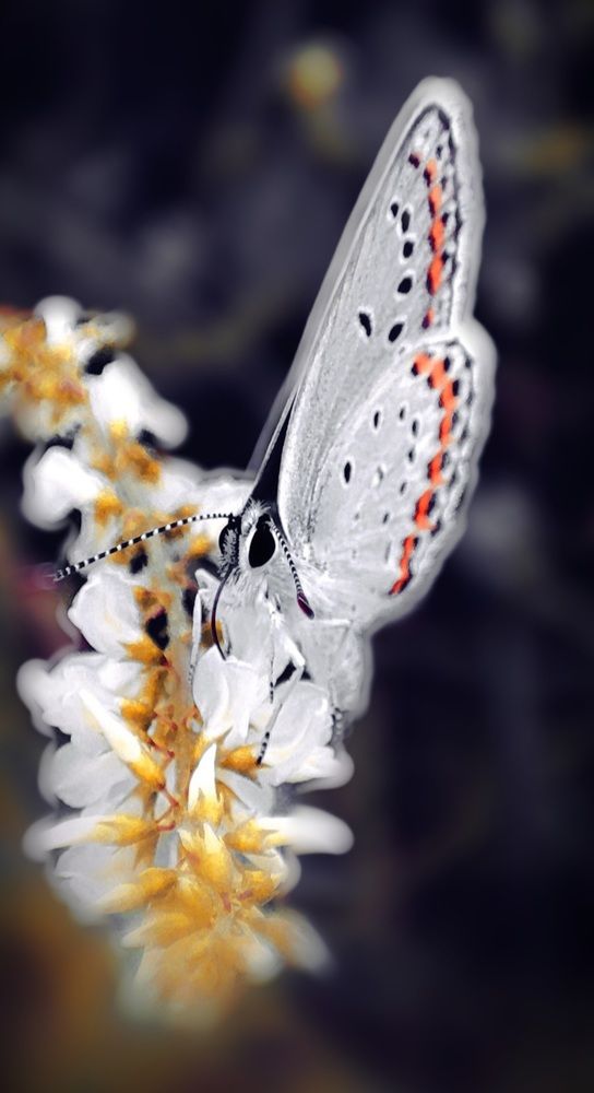 Photograph by Konstantin Martynov