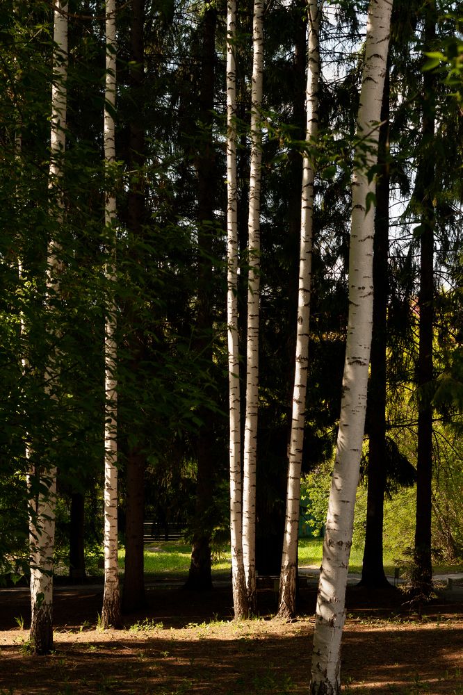 Photograph by Вета Юн