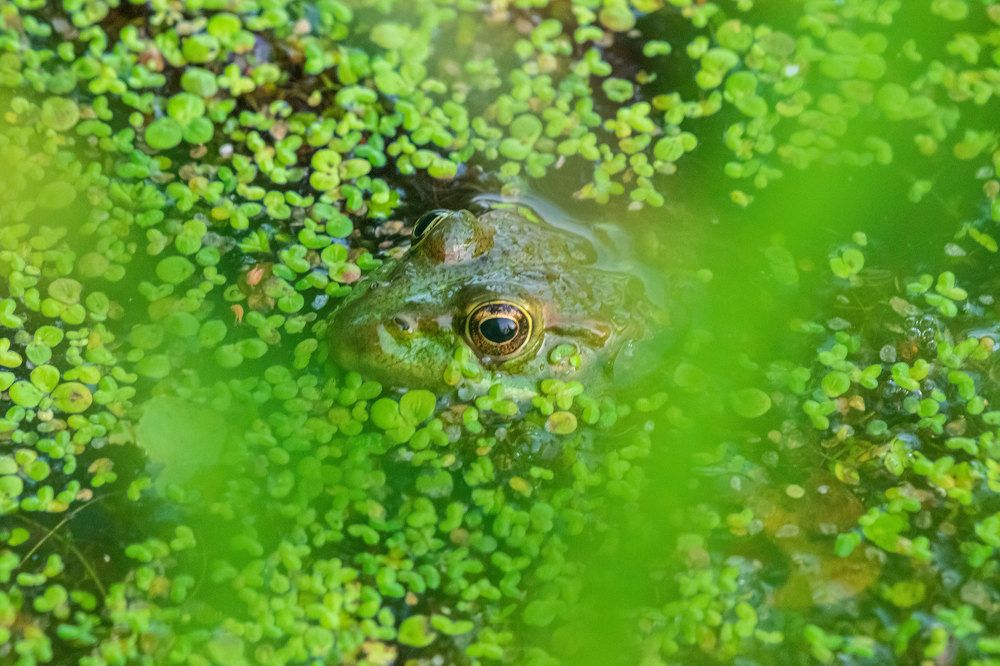 Photograph by Евгений Голубев
