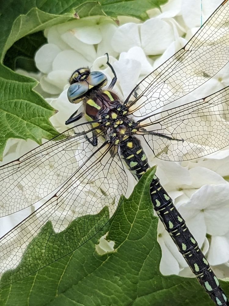 Photograph by Ira Egorova