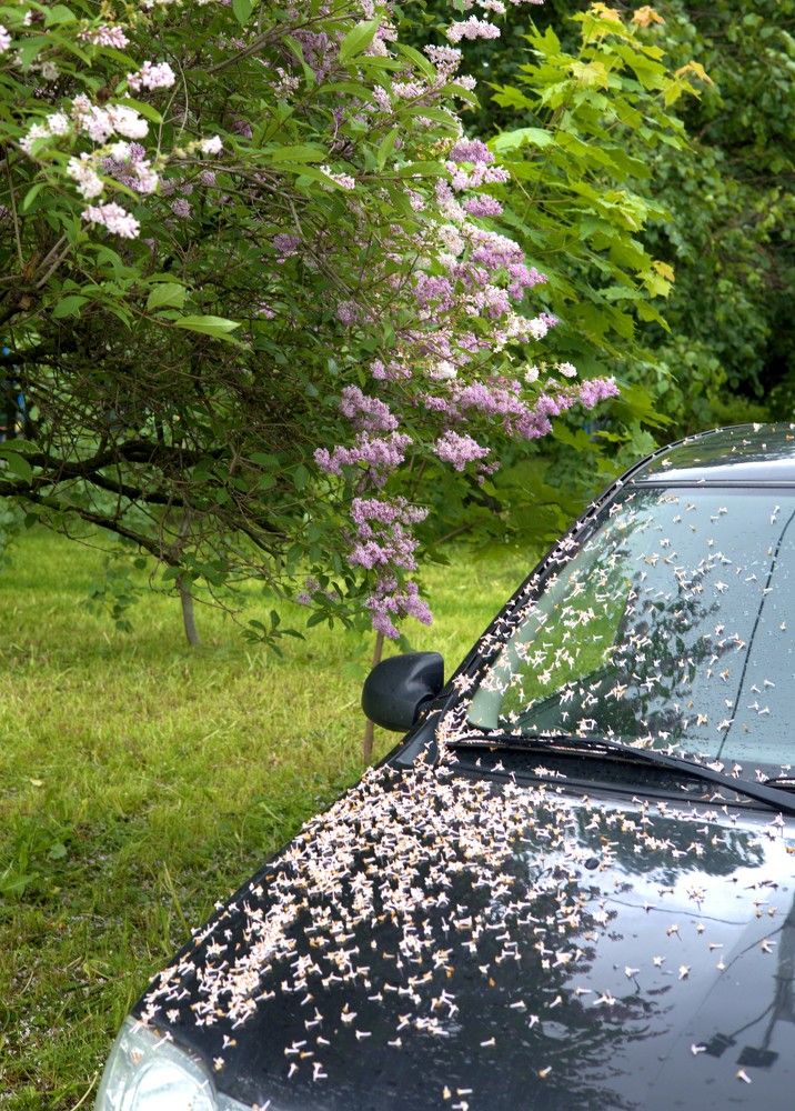 Photograph by владимир Заворотный