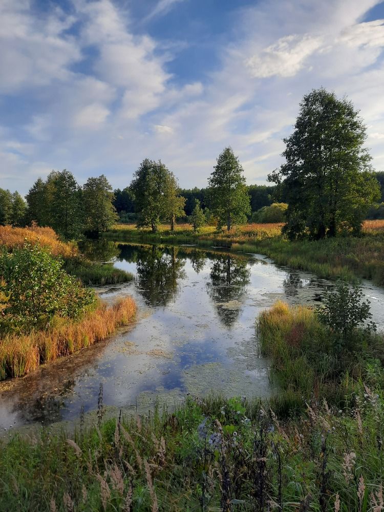 Photograph by Юлия Меркулова