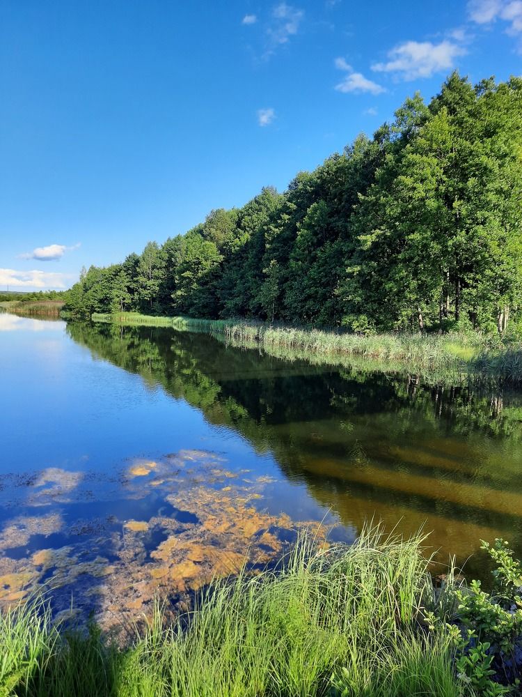 Photograph by Юлия Меркулова