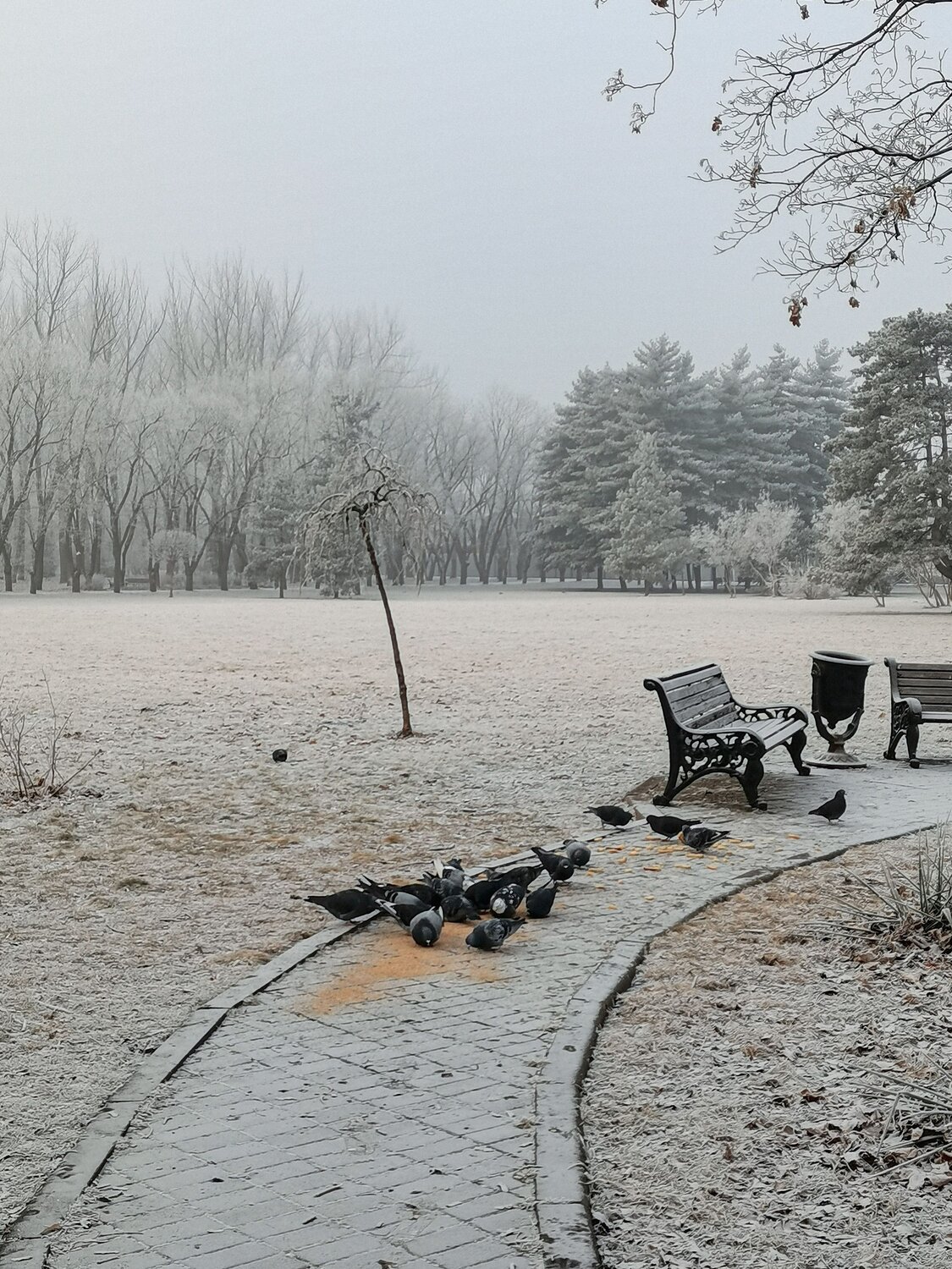 Photo #9179030