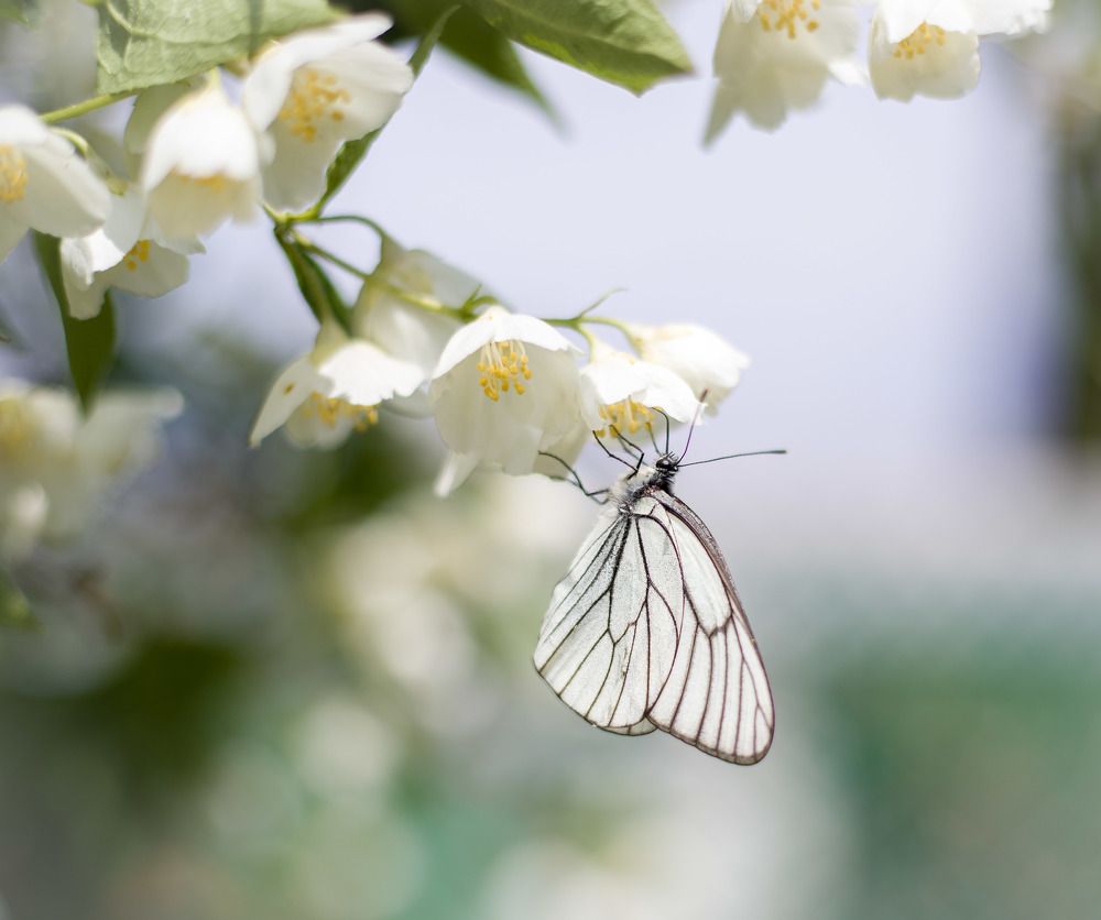 Photograph by Екатерина Вспышкина
