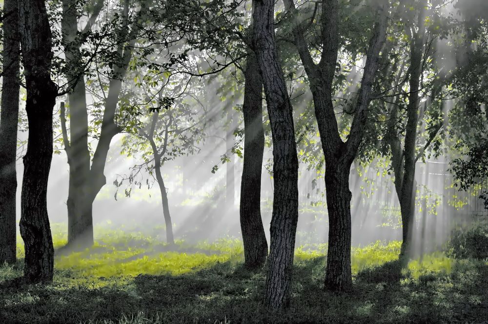 Photograph by Анатолий Святой