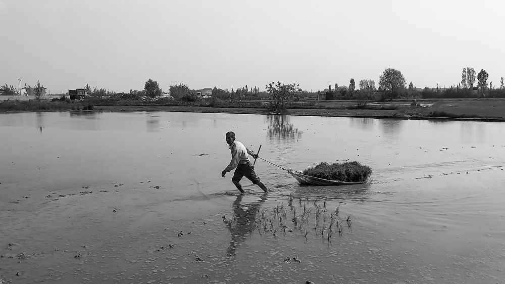 Photograph by mahdi ghanbari