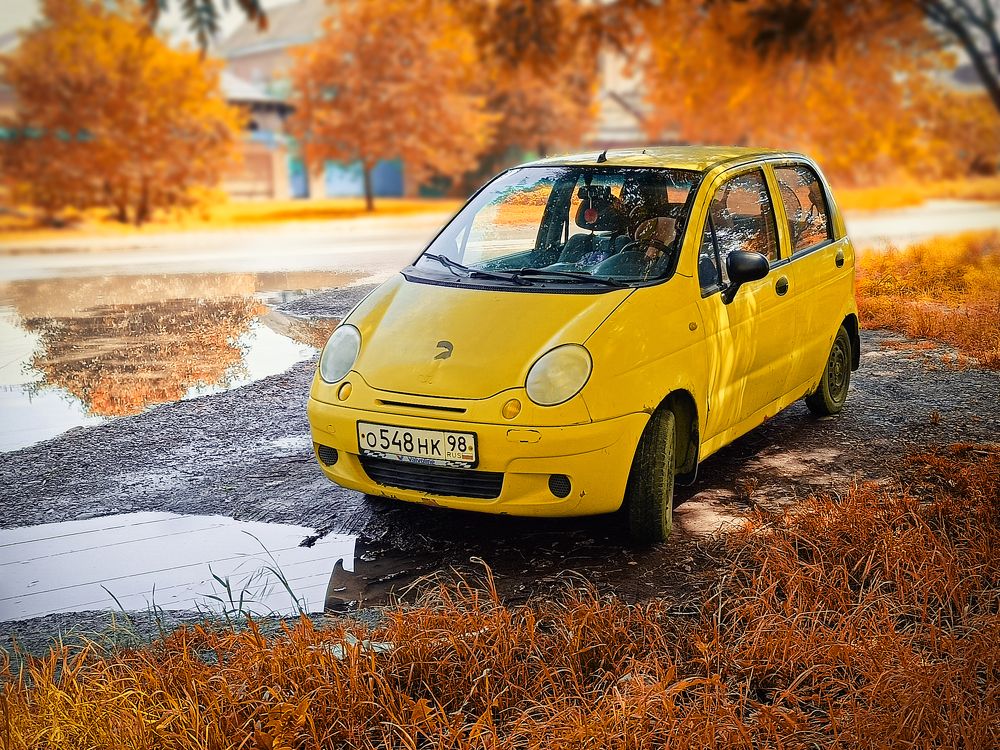 Photograph by Галина Литвинова