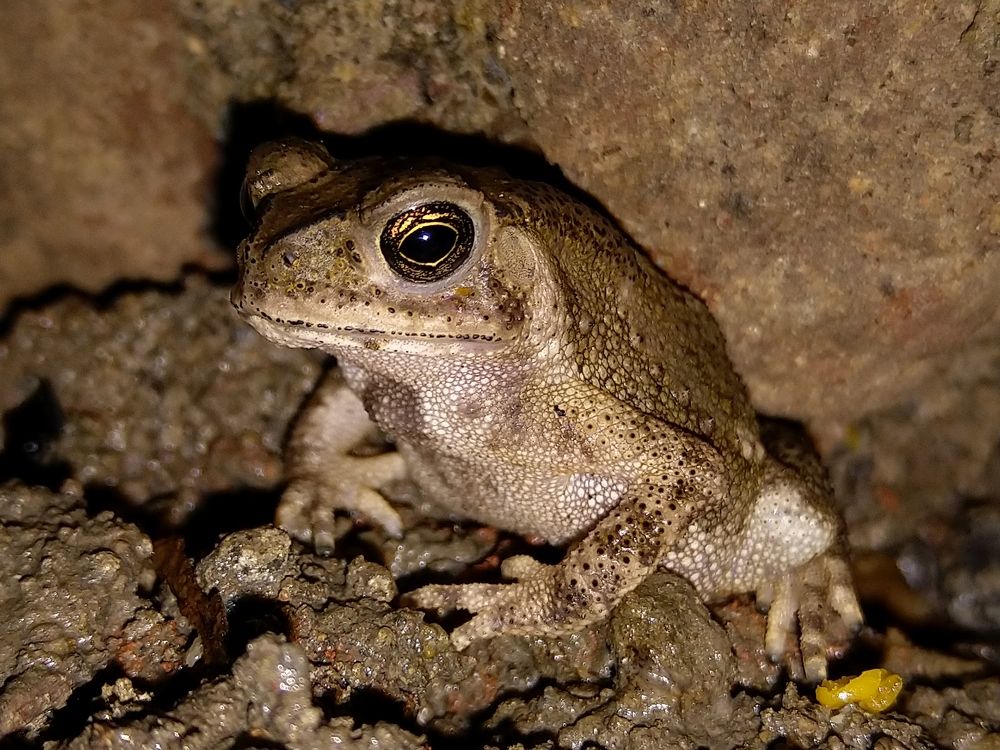 Photograph by sumit sitole