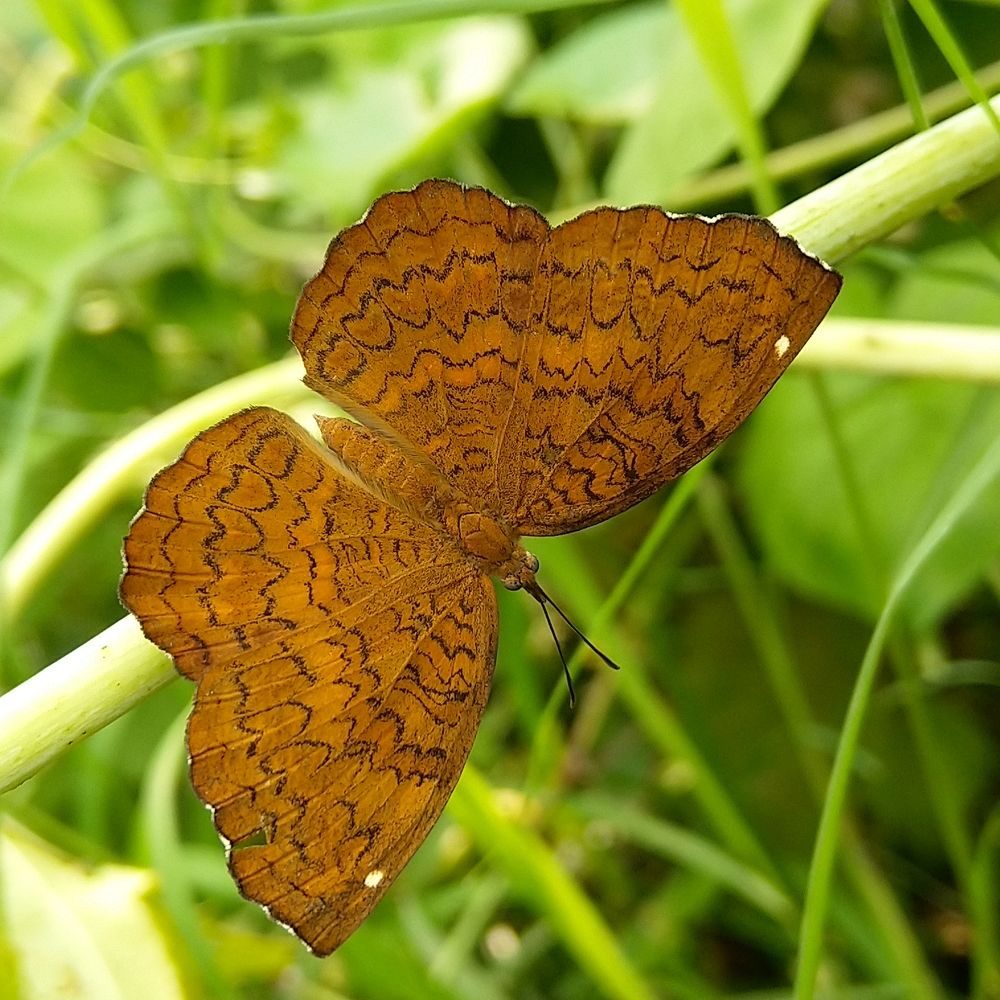 Photograph by sumit sitole