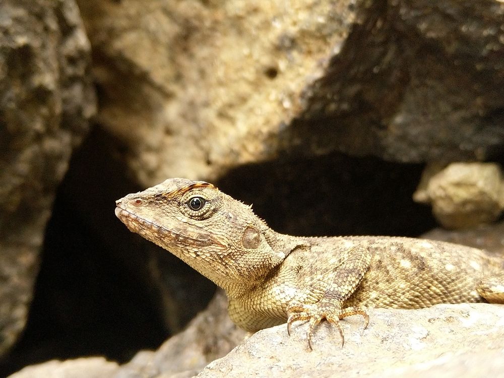 Photograph by sumit sitole