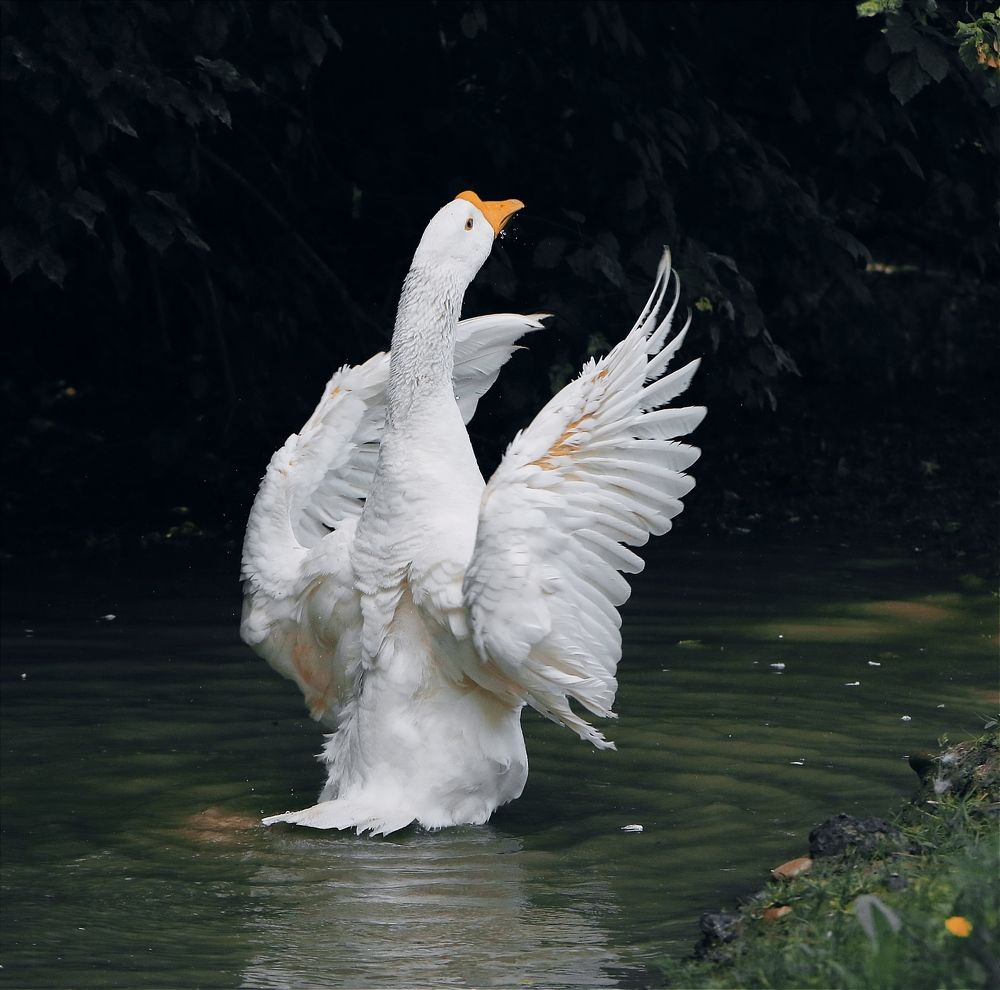 Photograph by Татьяна Исаева