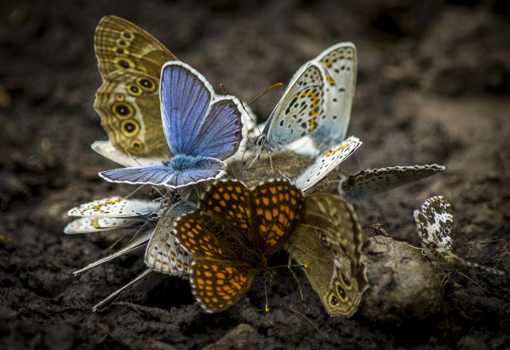 Photograph by Татьяна Титова