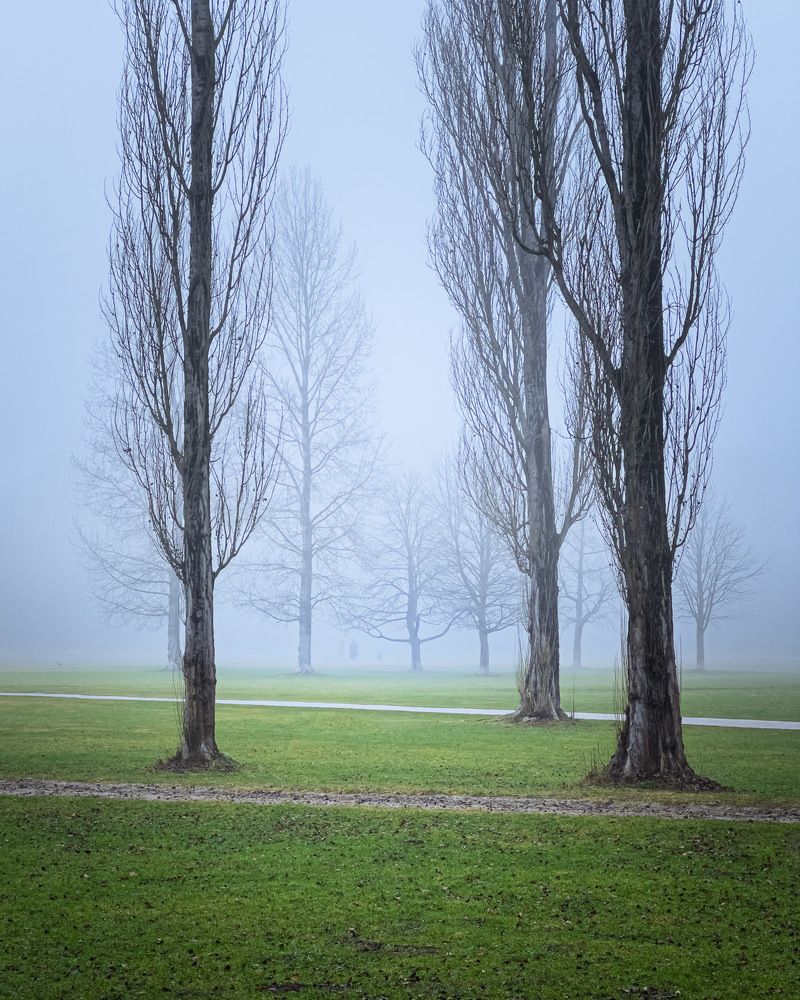 Photograph by Aleksandr Semenov