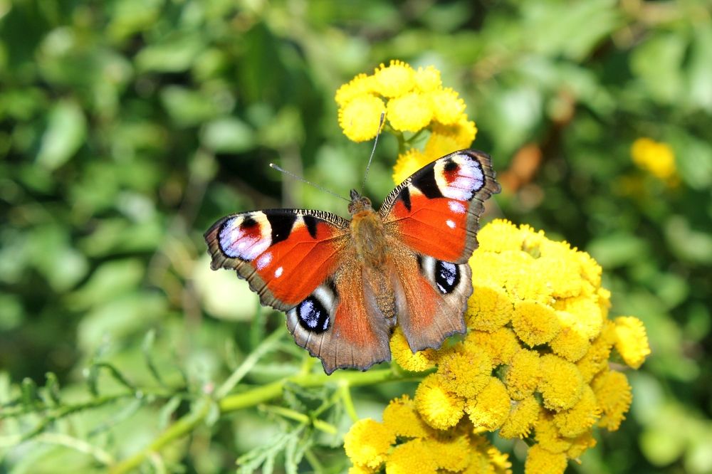 Photograph by Olga Bagaeva